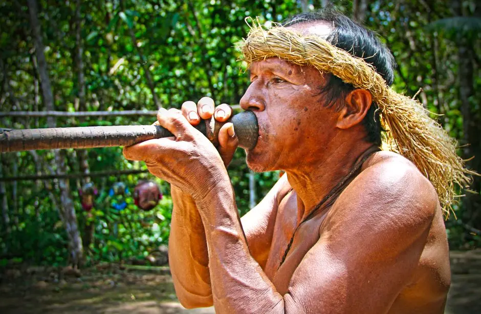 Pohon sagu keramat suku Asmat di Agats